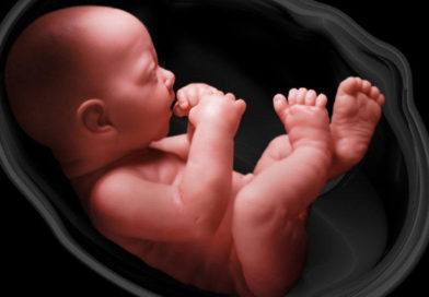 Cercetătorii au creat primul pântec artificial, care poate ține în viață bebelușii născuți prematur
